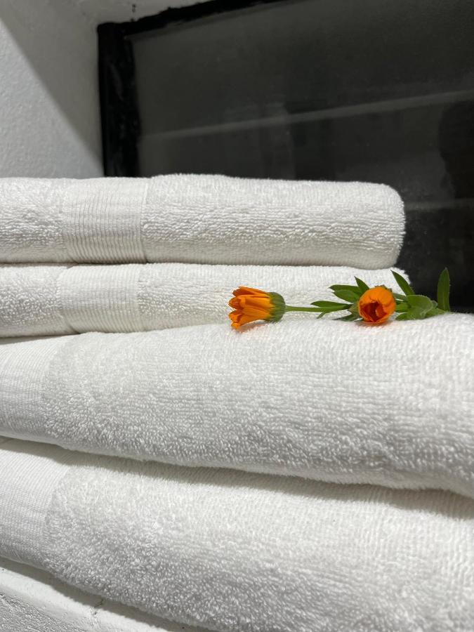 Cusco Kintu House Apartment Ngoại thất bức ảnh
